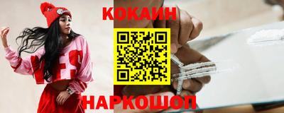 индика Кингисепп