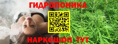 гашик Кандалакша