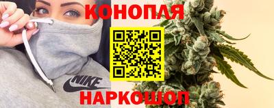 индика Кингисепп