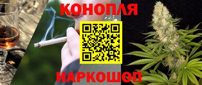гашик Кандалакша