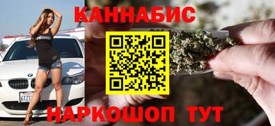 индика Кингисепп