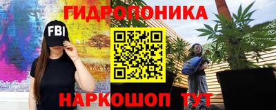 гашик Кандалакша