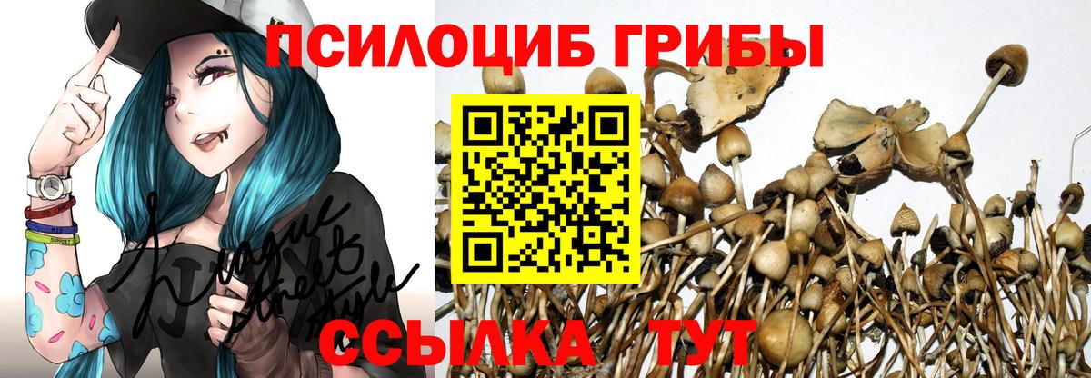 Галлюциногенные грибы Psilocybe  Вход с VPN  Краснокаменск 